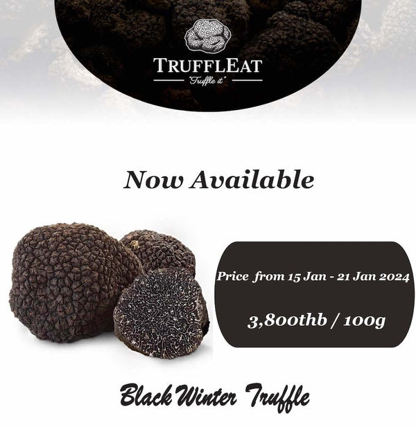 Fresh Black Winter Truffle Now available