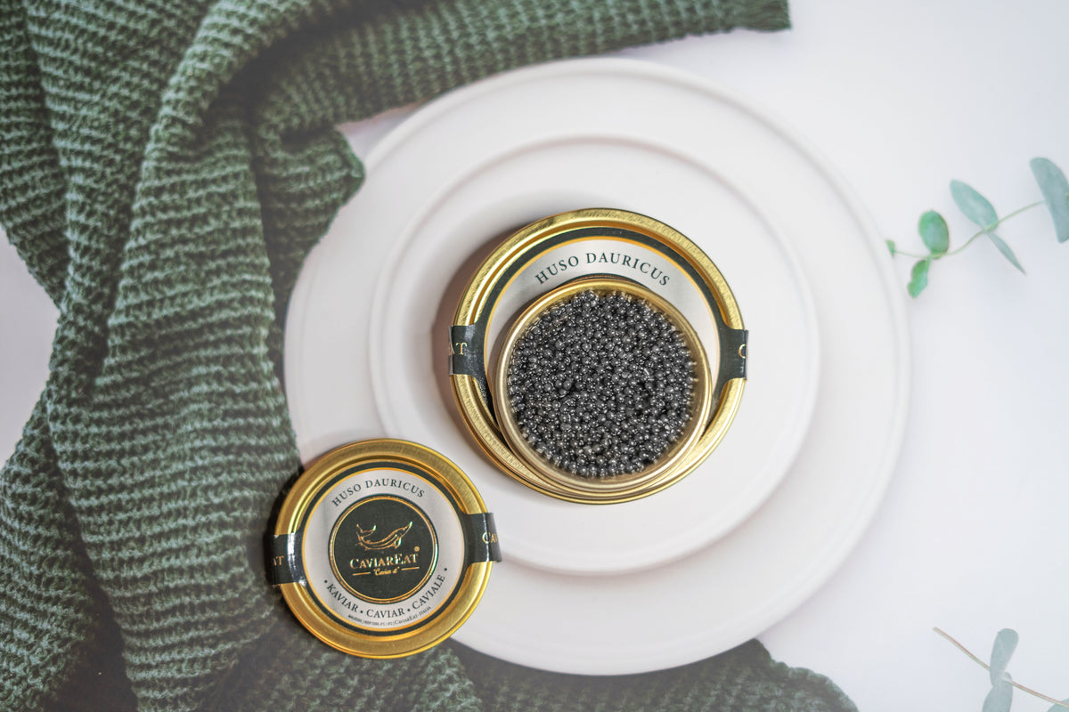 caviarhusodauricus