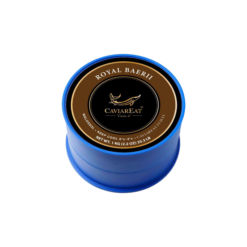 Royal Baerii Blue Tin