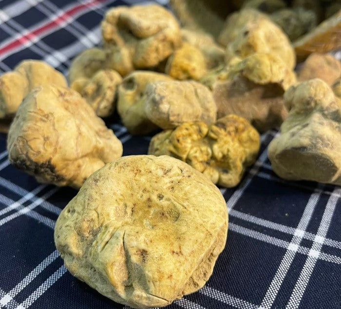 Fresh White Truffle "TUBER MAGNATUM PICO" 100 gr  (ON PRE-ORDER)