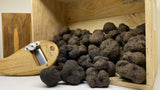 Fresh Black Winter Truffle (Grade EU) 100 gr