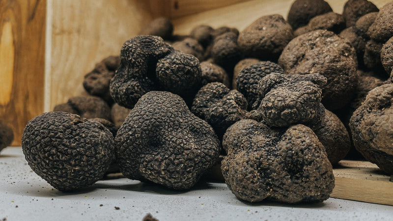 Fresh Black Winter Truffle (Grade EU) 100 gr