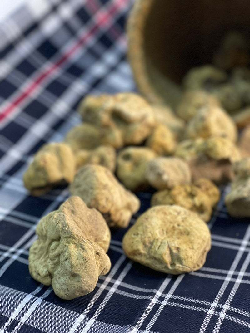 Fresh White Truffle "TUBER MAGNATUM PICO" 100 gr  (ON PRE-ORDER)