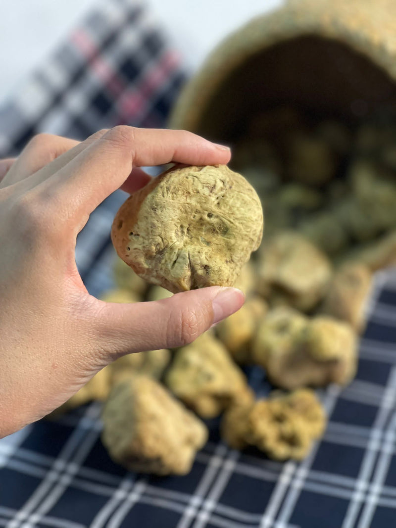 Fresh White Truffle "TUBER MAGNATUM PICO" 100 gr  (ON PRE-ORDER)