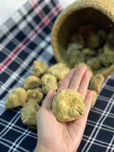 Fresh White Truffle "TUBER MAGNATUM PICO" 100 gr  (ON PRE-ORDER)