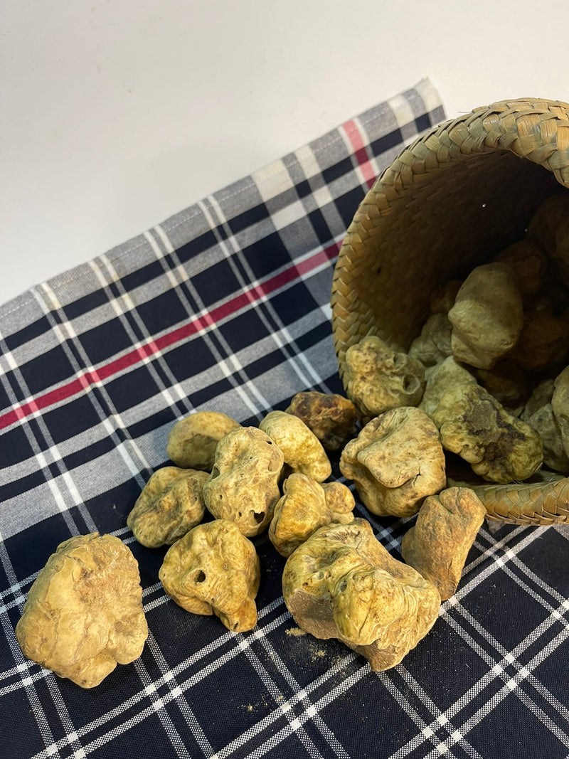 Fresh White Truffle "TUBER MAGNATUM PICO" 100 gr  (ON PRE-ORDER)